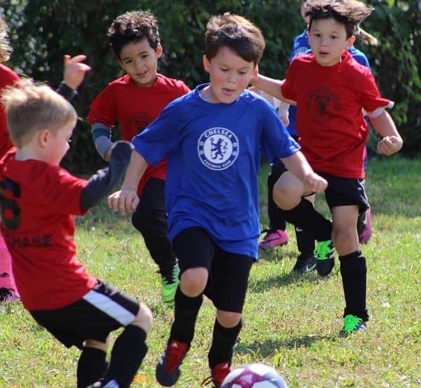 Young children playing soccer