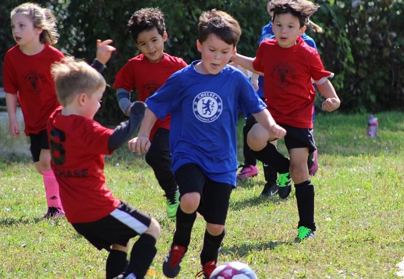 Young children playing soccer