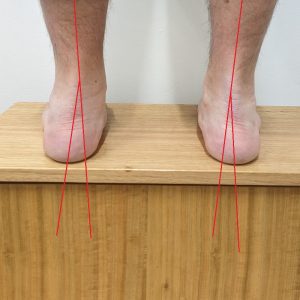 Person standing on step with heel and leg bisections